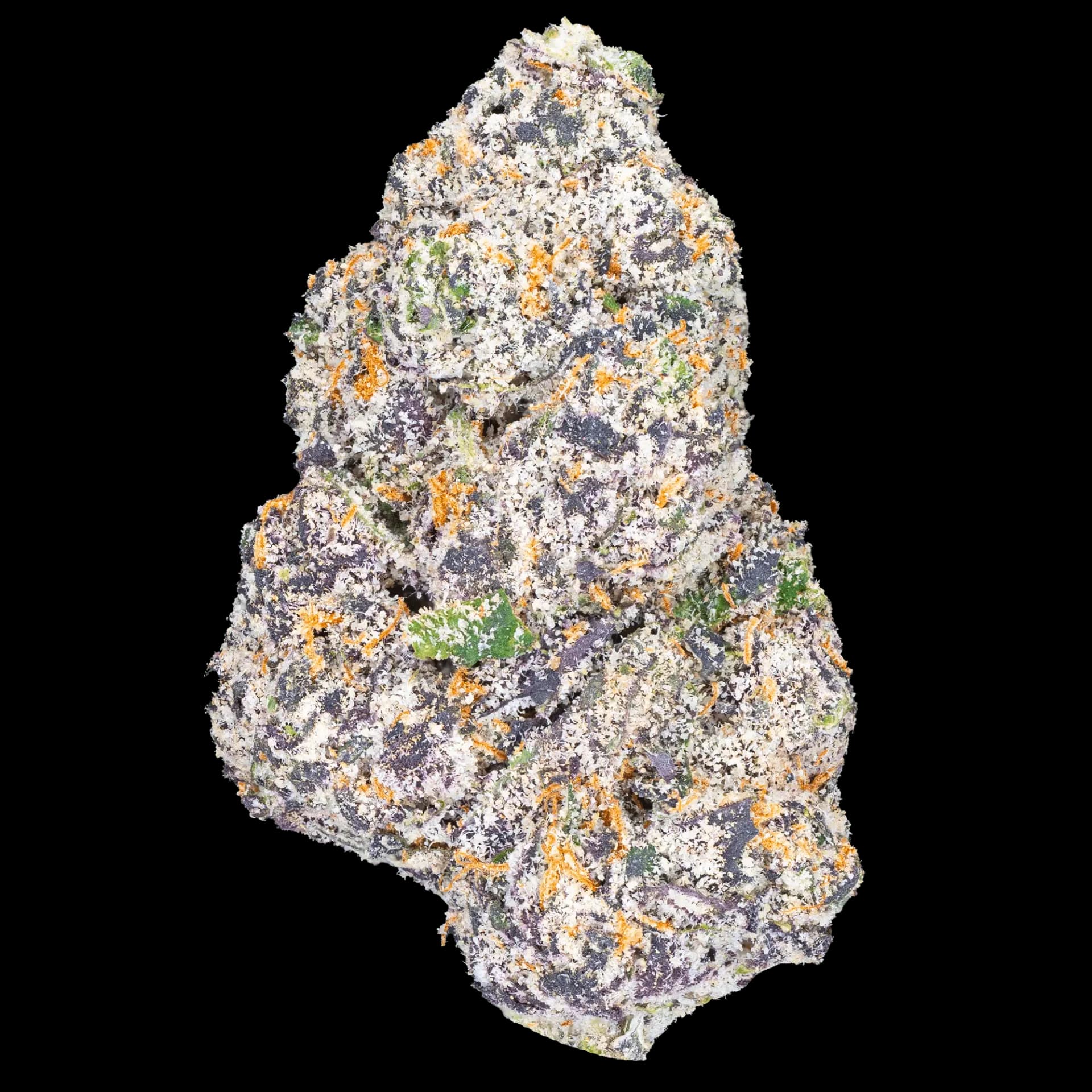 Miami runtz strain THC Levels, Aroma, and Taste Explained