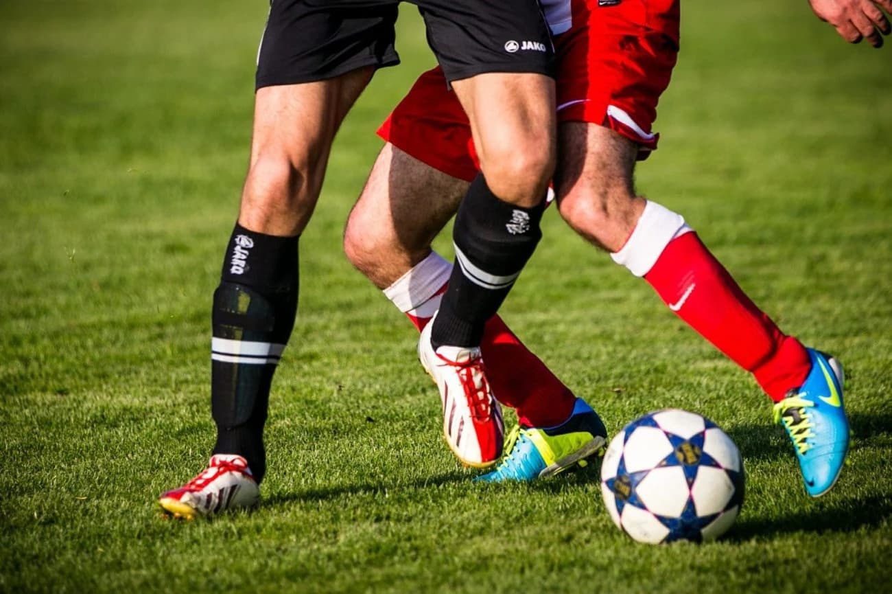 Top Features of Sports Betting Apps New Brunswick You Need to Know